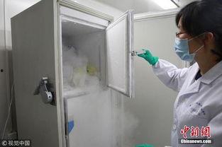 喂蚊子图片,揭秘喂蚊子图片背后的生态奥秘